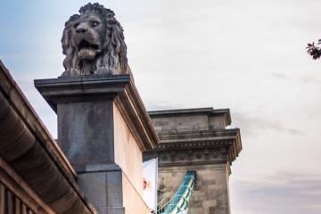 Елена Венкова, #240159