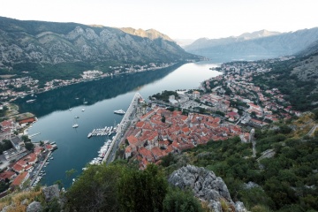 Митя Степанов, #246568