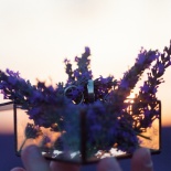 Влюбленные В Провансе