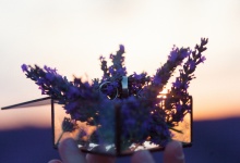 Влюбленные В Провансе