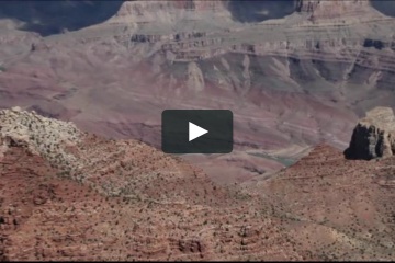 Ника Горбова, #253372