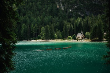 Димитрий Кулюк, #253762