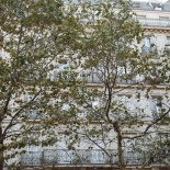 Андре и Анастасия - love story фотосессии в Париже