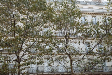 Дмитрий Финько, #262854