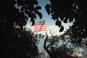 Митя Степанов, #268417