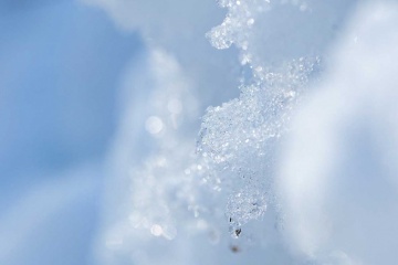 Златана Лекривайн, #269320