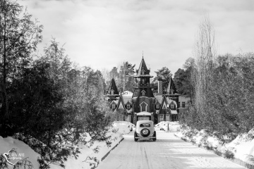 Златана Лекривайн, #269372