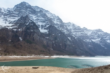 Златана Лекривайн, #269458