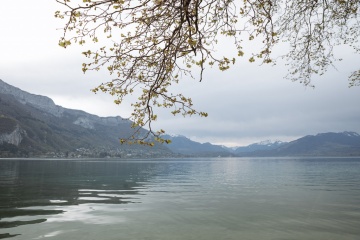 Дмитрий Финько, #330359