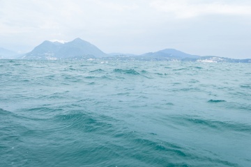 Ольга Старшова, #337836