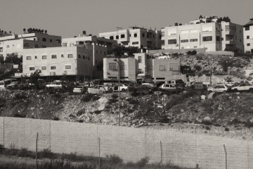 Aleksandr @sokol.okt Sokolov, #363699