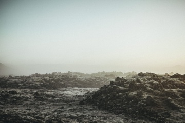 Надежда Данилова, #365234