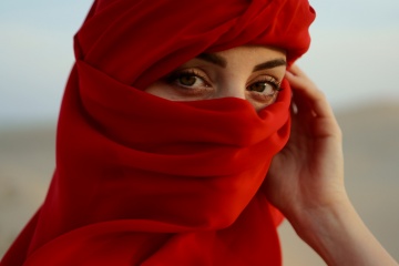 ANDREI VORONIN, #372580