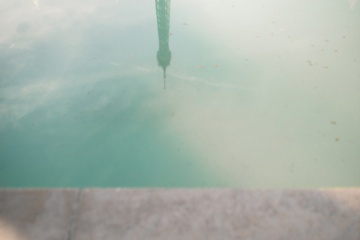 Павел и Илона Устюжанины, #374581