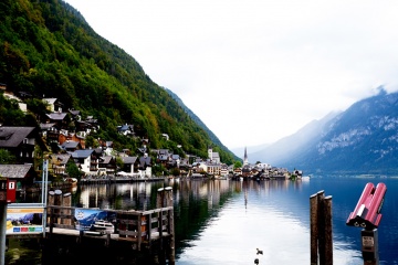 Алиса Шкурская, #374963