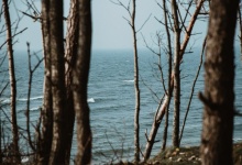 Свадебная история в Клайпеде