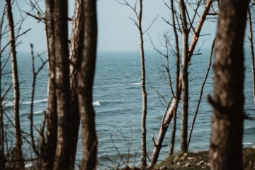 Тати Франк, #375875