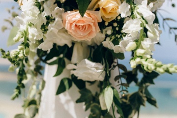 Наталия Войткевич, #378458