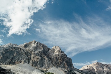 Павел Медведев, #382526