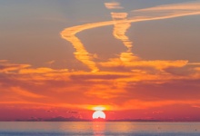 Портрет на закате.