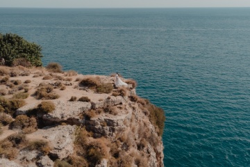 Дмитрий Кара, #408893