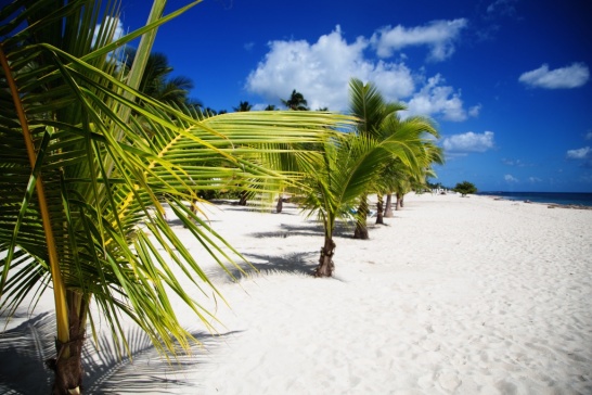 Предложения фотографов за границей