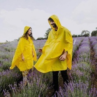 Viola and Alexander | Надя Зеленская/Курган | Хорватия