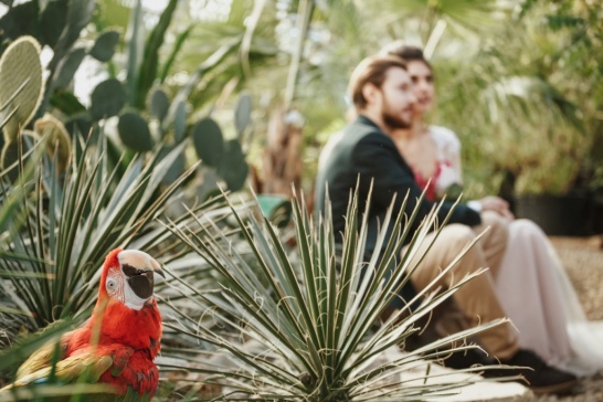 Предложения фотографов за границей