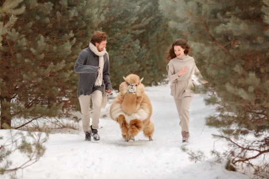 Предложения фотографов за границей