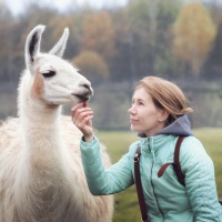 Фотограф Дарья Молчанова | Отзывы
