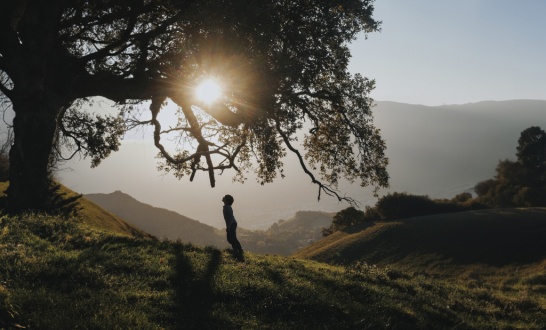 Предложения фотографов за границей