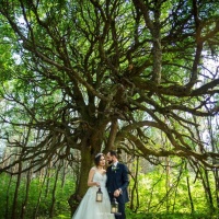 Видеограф Иван Жимаев | Отзывы