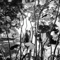 Фотограф Гвидо Каналелла | Отзывы