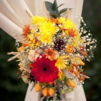 Фотограф Анастасия Баранова | Отзывы