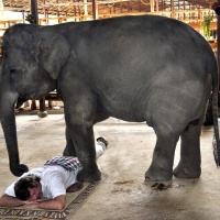 Фотограф Сергей Матковский | Отзывы