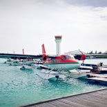 Медовый месяц. Николай и Алёна