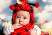 Божья коровка