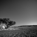 Алина+Андрей. Свадьба на Кипре