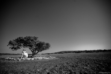 Ирина Палей, #40694