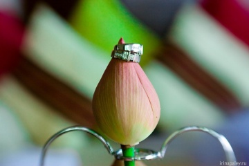 Ирина Палей, #39605