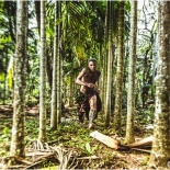 Goan Forest Spirits Project