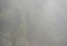 Немножко Montenegro