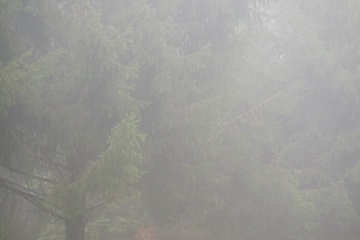 Алена Евтеева(Диканская), #61464