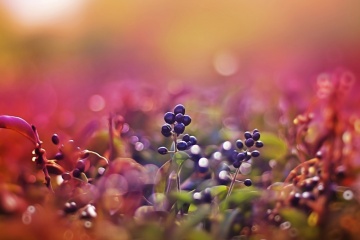 Наталия Павленко, #40391