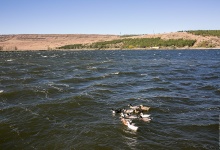 Лучше гор могут быть только горы