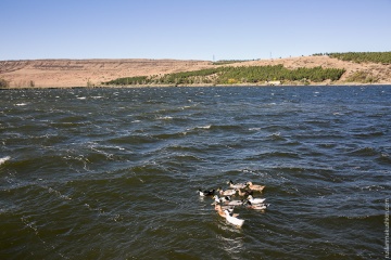 Руслан Макушкин, #59473