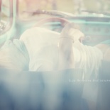 Весной под Парижем