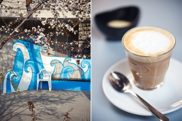 Анастасия Шевчик, #43380