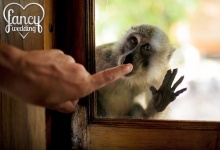 Михаил и Анна