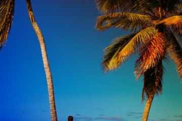 Татьяна Журавлевская, #16601